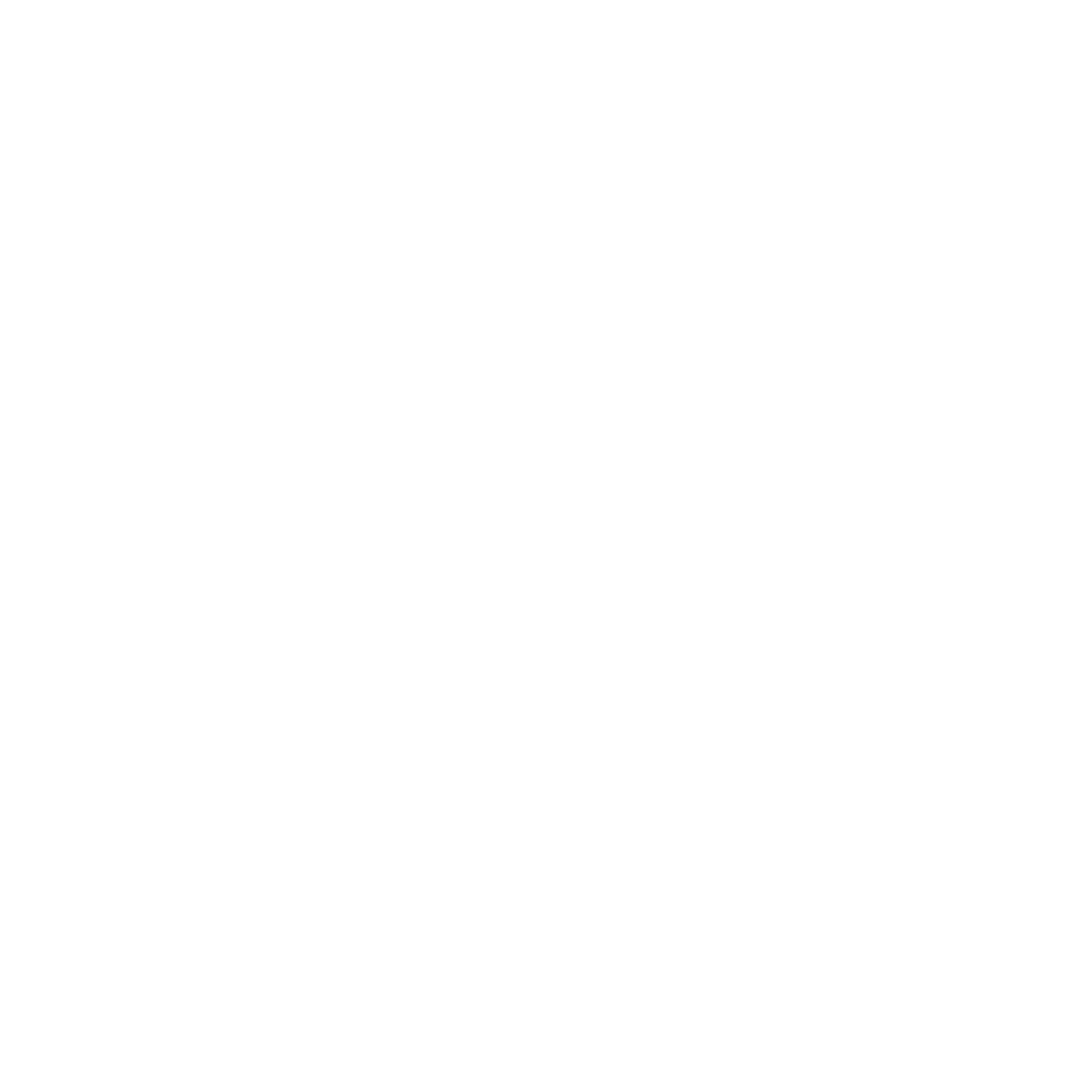 logo_2
