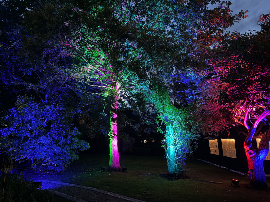 moonlight events outdoor